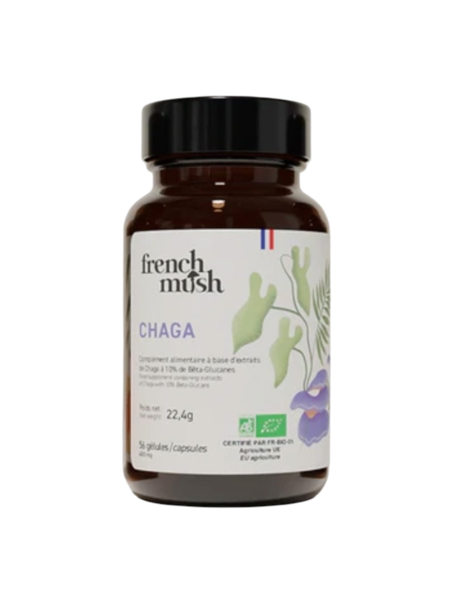 FRENCH MUSH - CHAGA