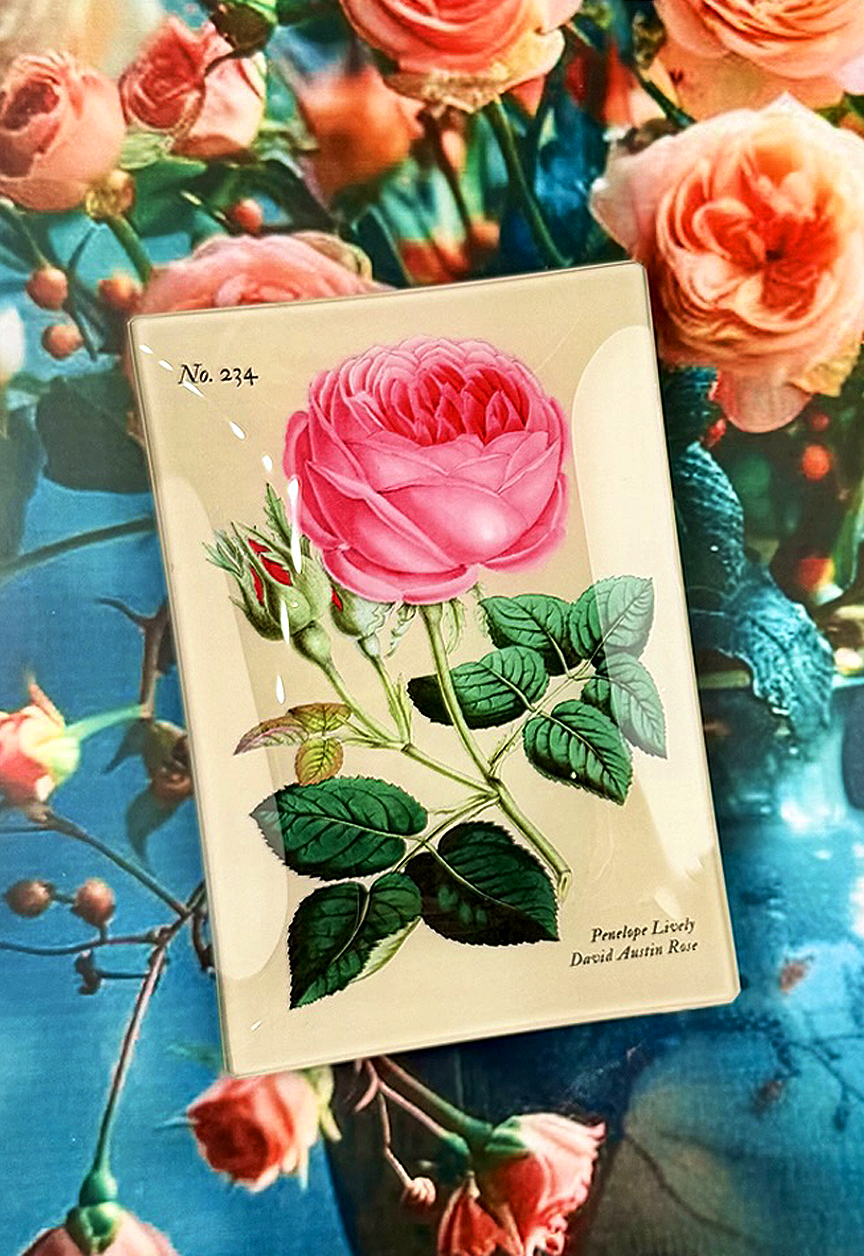 Vide-Poche Penelope Rose Rose – vue 2 – BEN'S GARDEN | George Genève