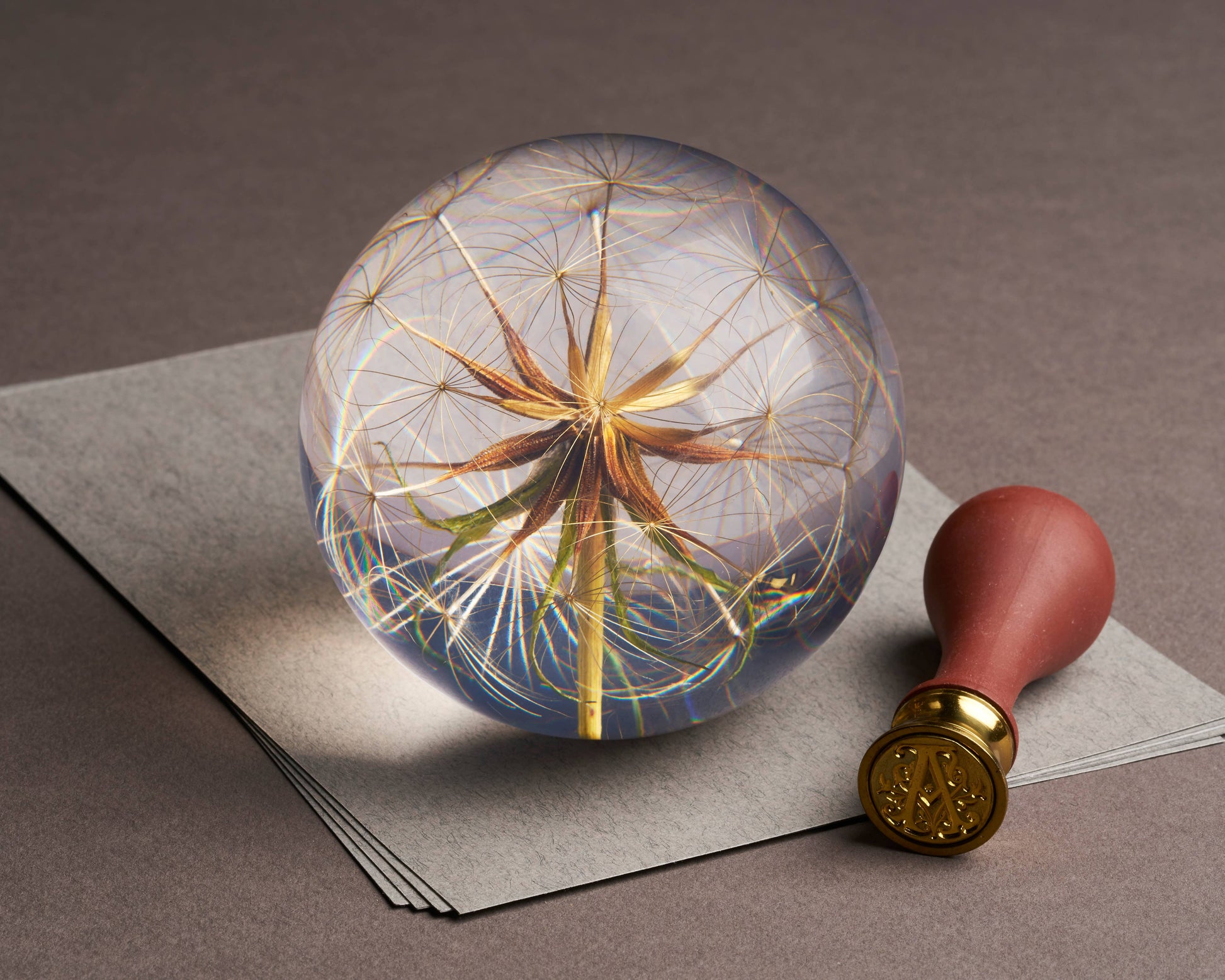 HAFOD GRANGE - Presse-papier  Goatsbeard