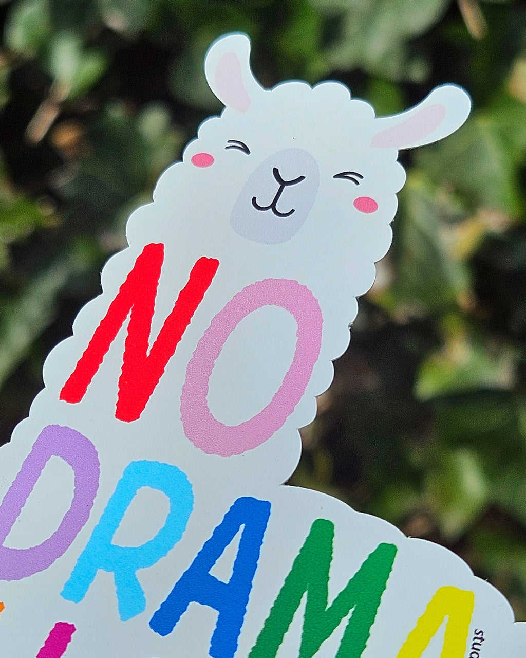 Pas de Drame Lama – vue 2 – Autocollant géeant | George Genève