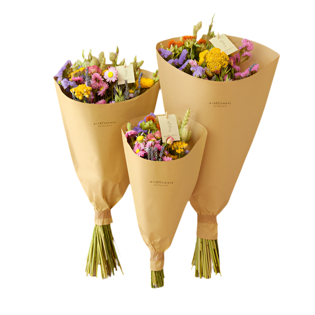 Fleurs séchées - Bouquet champêtre Multi