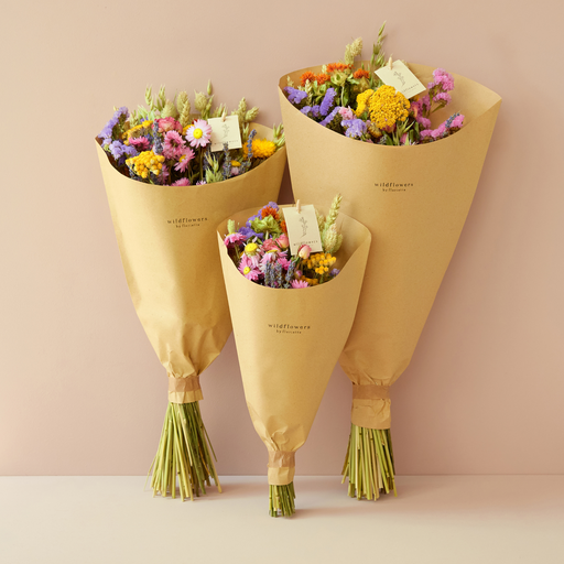 Fleurs séchées - Bouquet champêtre Multi