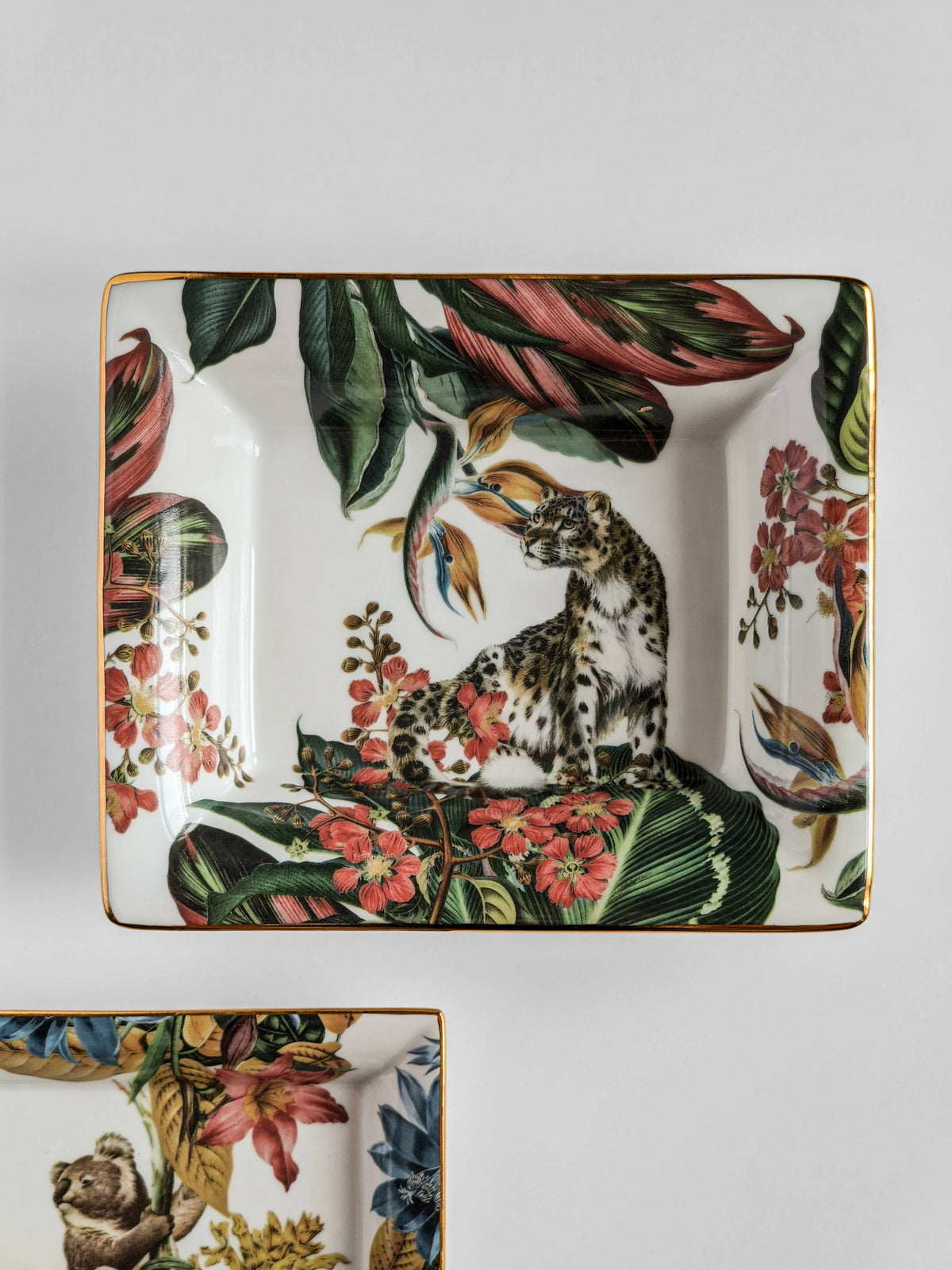 Vide-poche Animalia en porcelaine, fleurs tropicales et animaux – Grand Tour, Vito Nesta