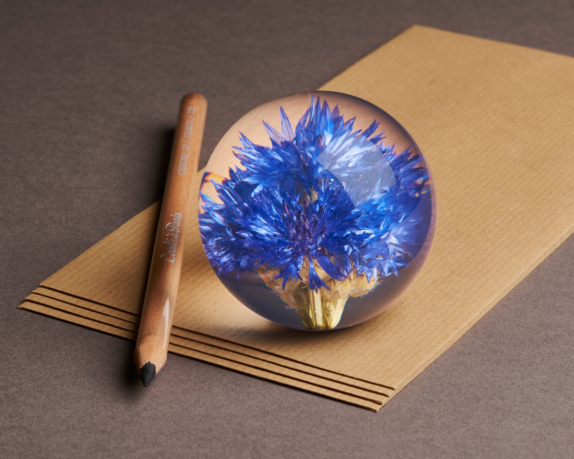 HAFOD GRANGE - Presse-papier Cornflower