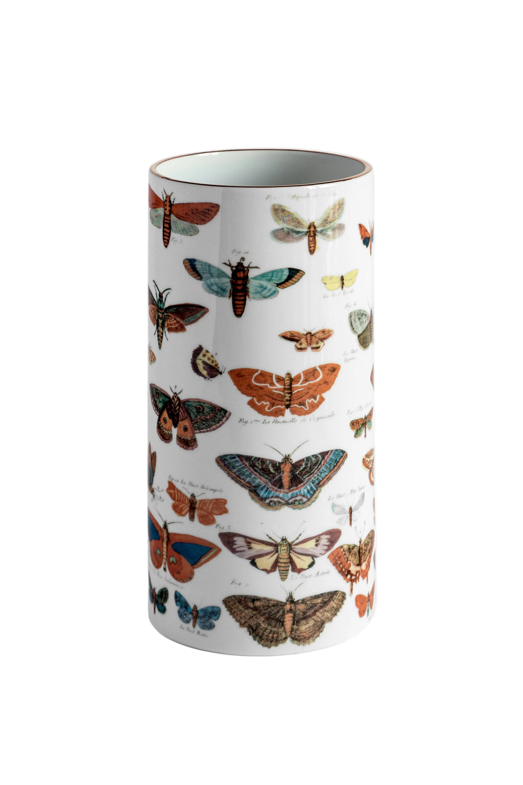 Vase cylindrique Farfalle en faïence, planches anciennes de papillons – Grand Tour, Vito Nesta
