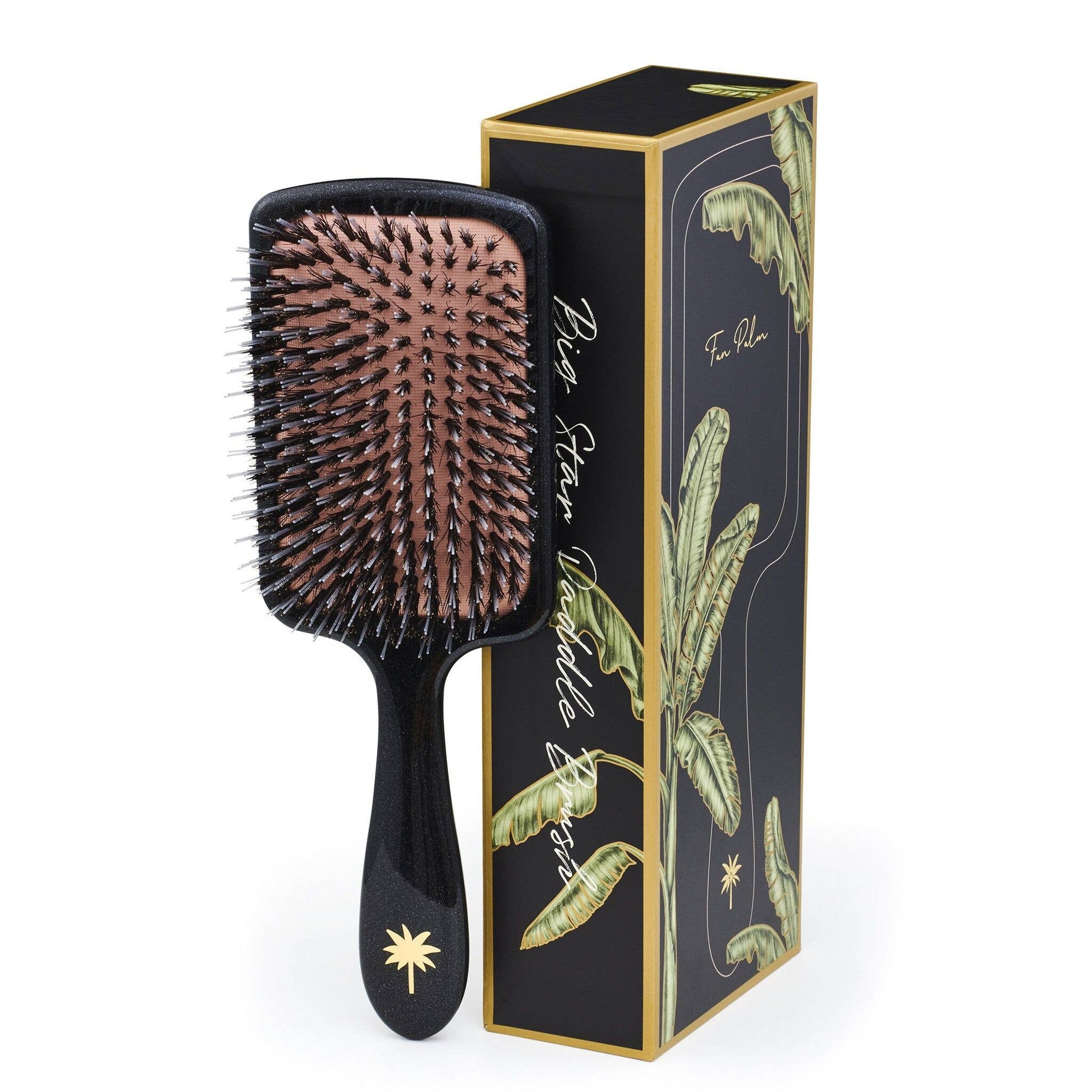 FAN PALM - Paddle Brush Big Star