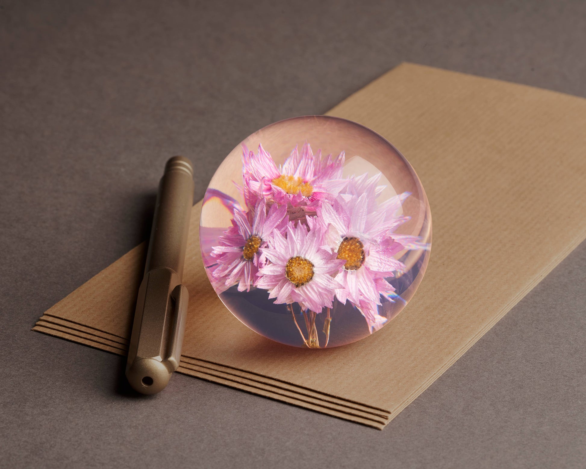 HAFOD GRANGE - Presse-papier Rhodanthe