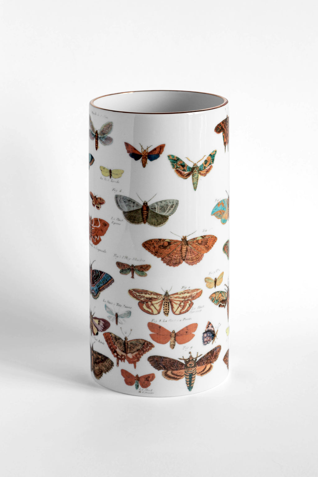 Vase cylindrique Farfalle en faïence, planches anciennes de papillons – Grand Tour, Vito Nesta