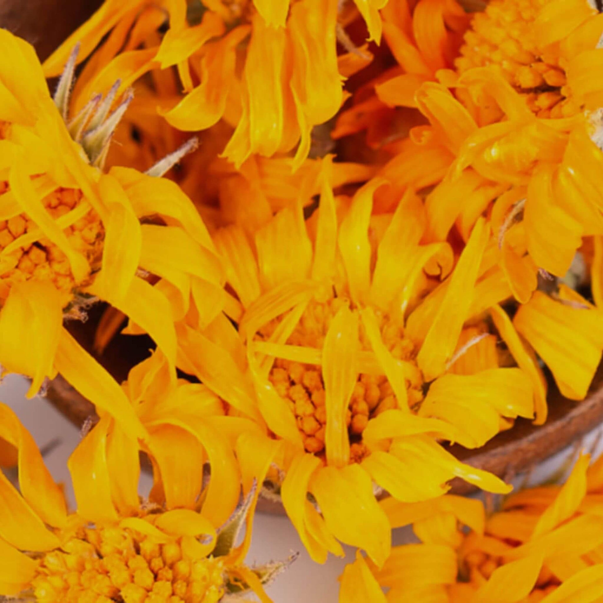 SOWE - Huile de Calendula Bio