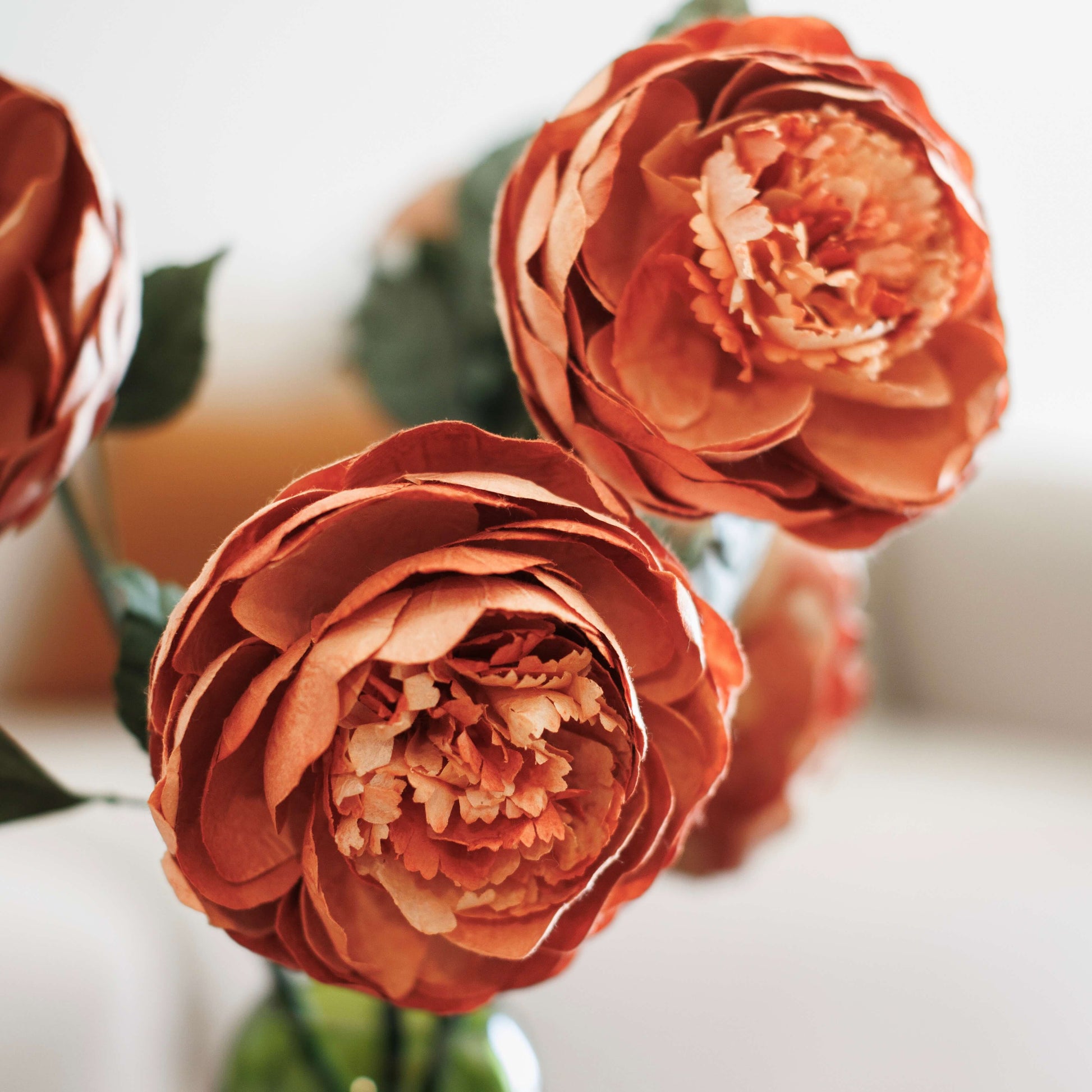 FLOWRETTE - Bouton de Pivoine Pêche