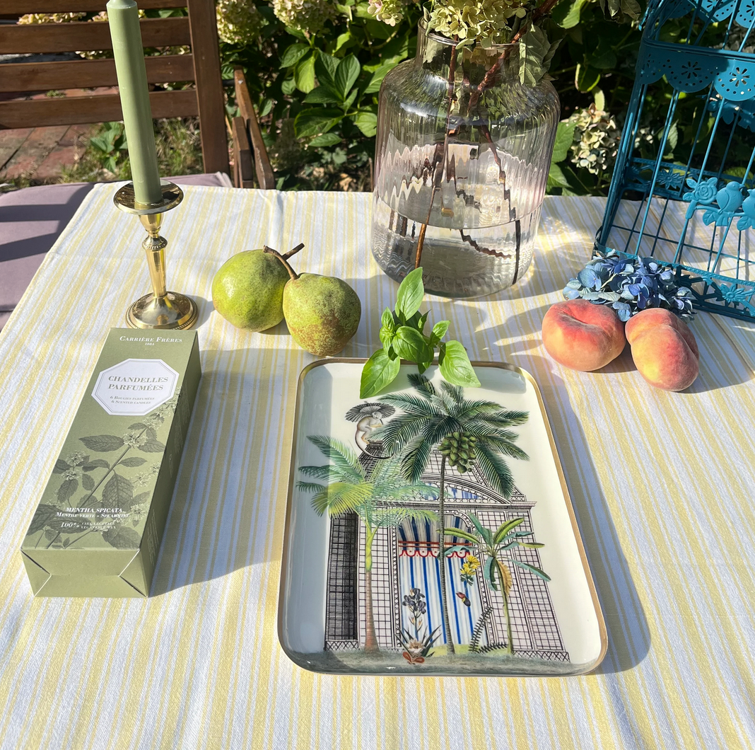 PARADISIO IMAGINARIUM - Plateau Botanica (2 formats)