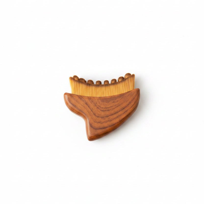 Brosse Lymphatique