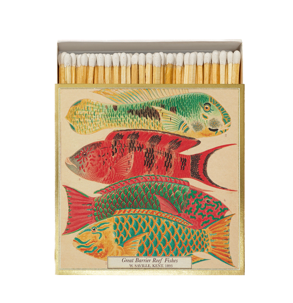 Boîte d'allumettes Fish – ARCHIVIST | George Genève