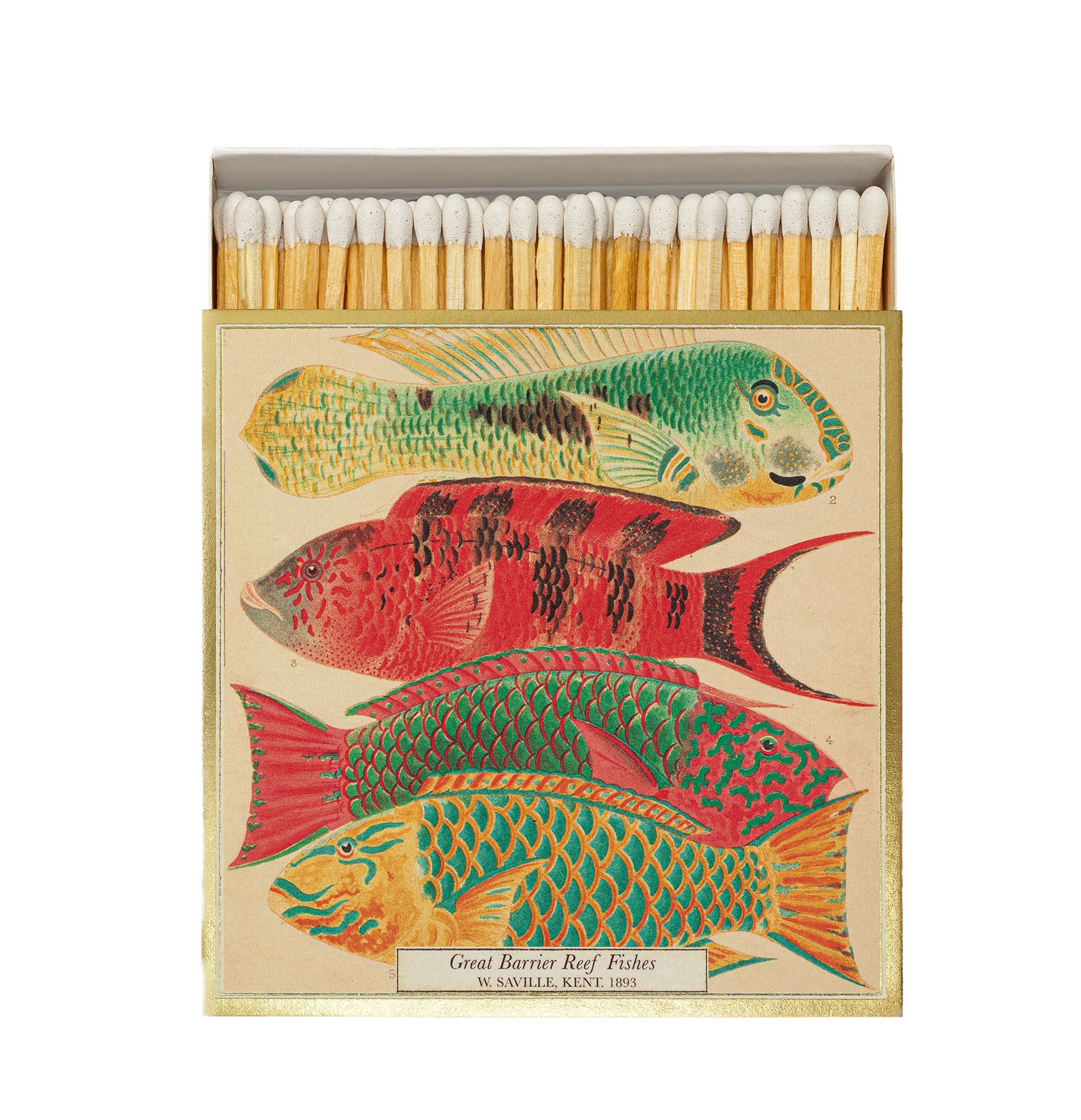 Boîte d'allumettes Fish – ARCHIVIST | George Genève