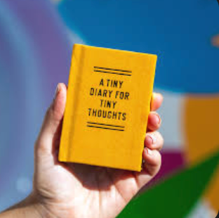 Carnet Tiny Diary For Thoughts