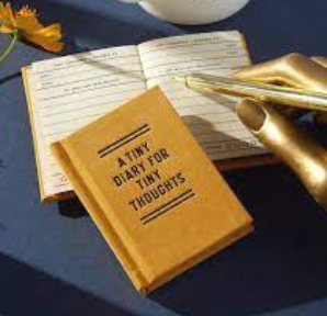 Carnet Tiny Diary For Thoughts
