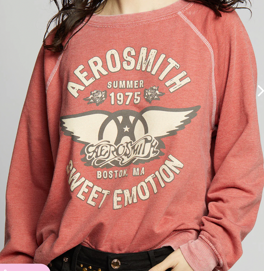 Sweat Shirt Aerosmith – vue 2 – RECYCLED KARMA | George Genève