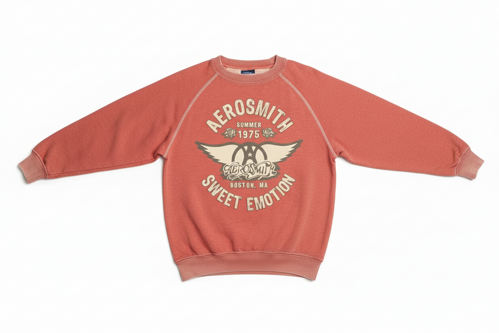 Sweat Shirt Aerosmith – RECYCLED KARMA | George Genève