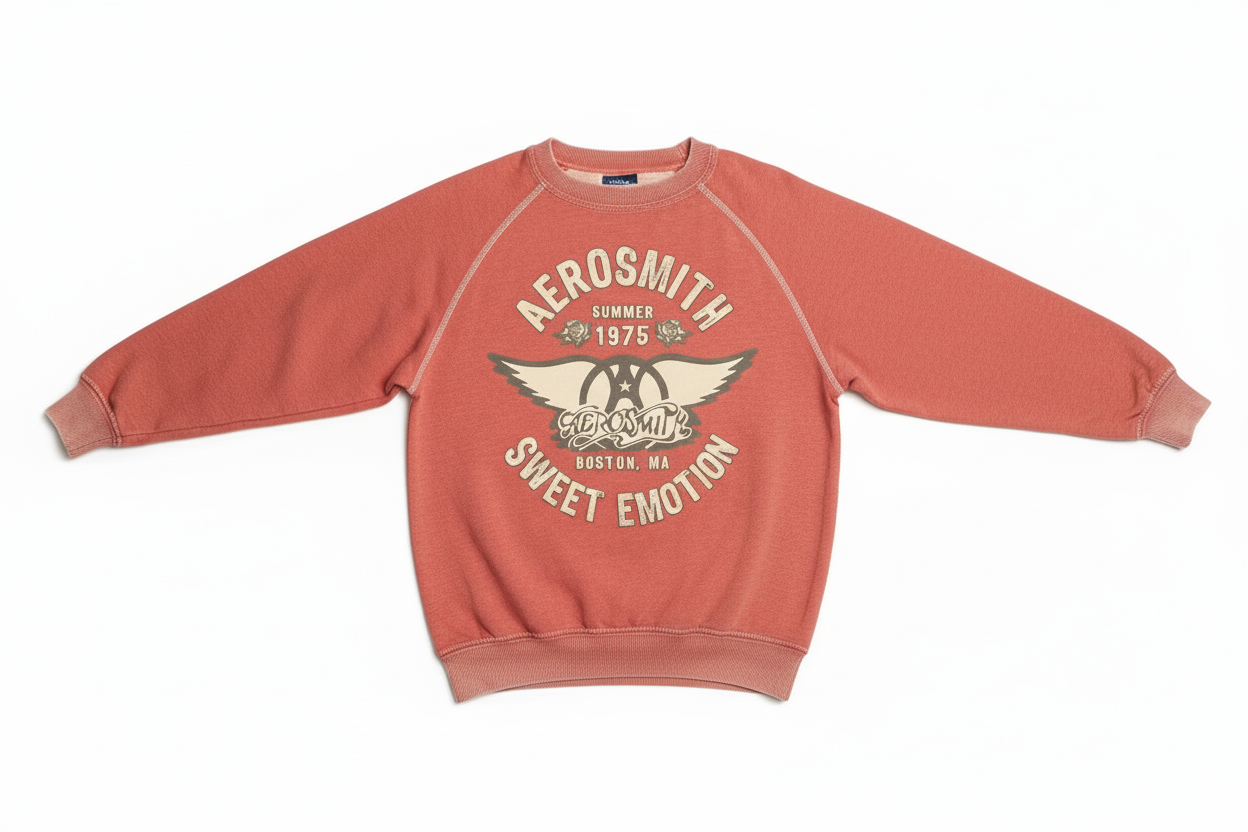 Sweat Shirt Aerosmith – RECYCLED KARMA | George Genève