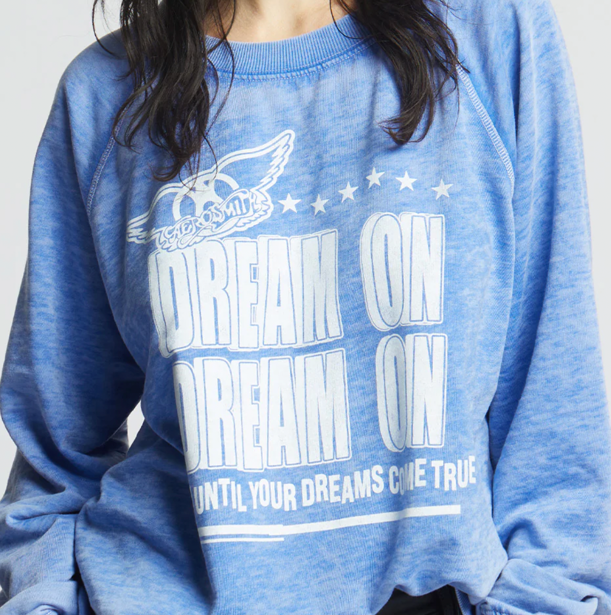 RECYCLED KARMA -  Sweat Shirt Aerosmtih