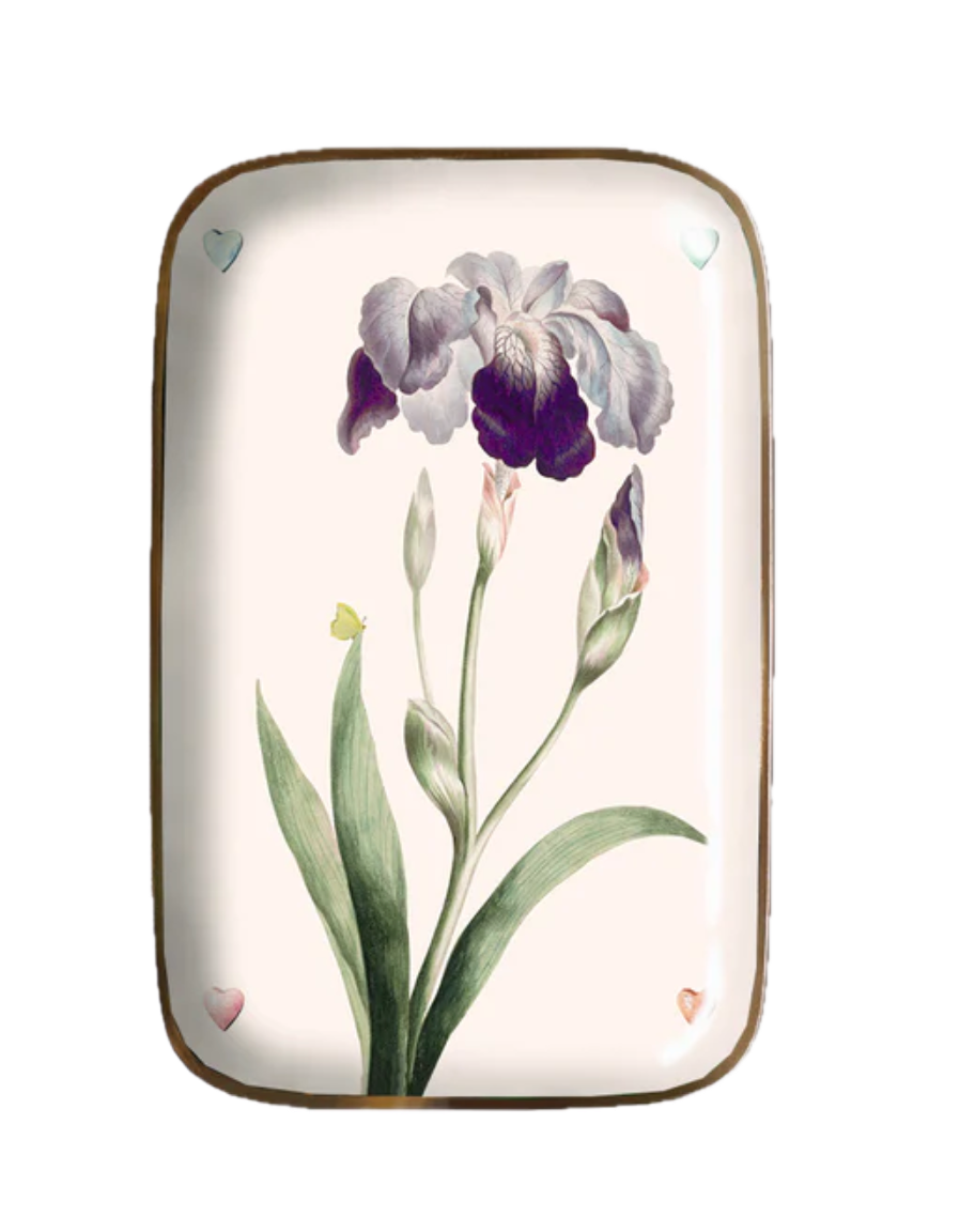 PARADISIO IMAGINARIUM - Plateau Iris