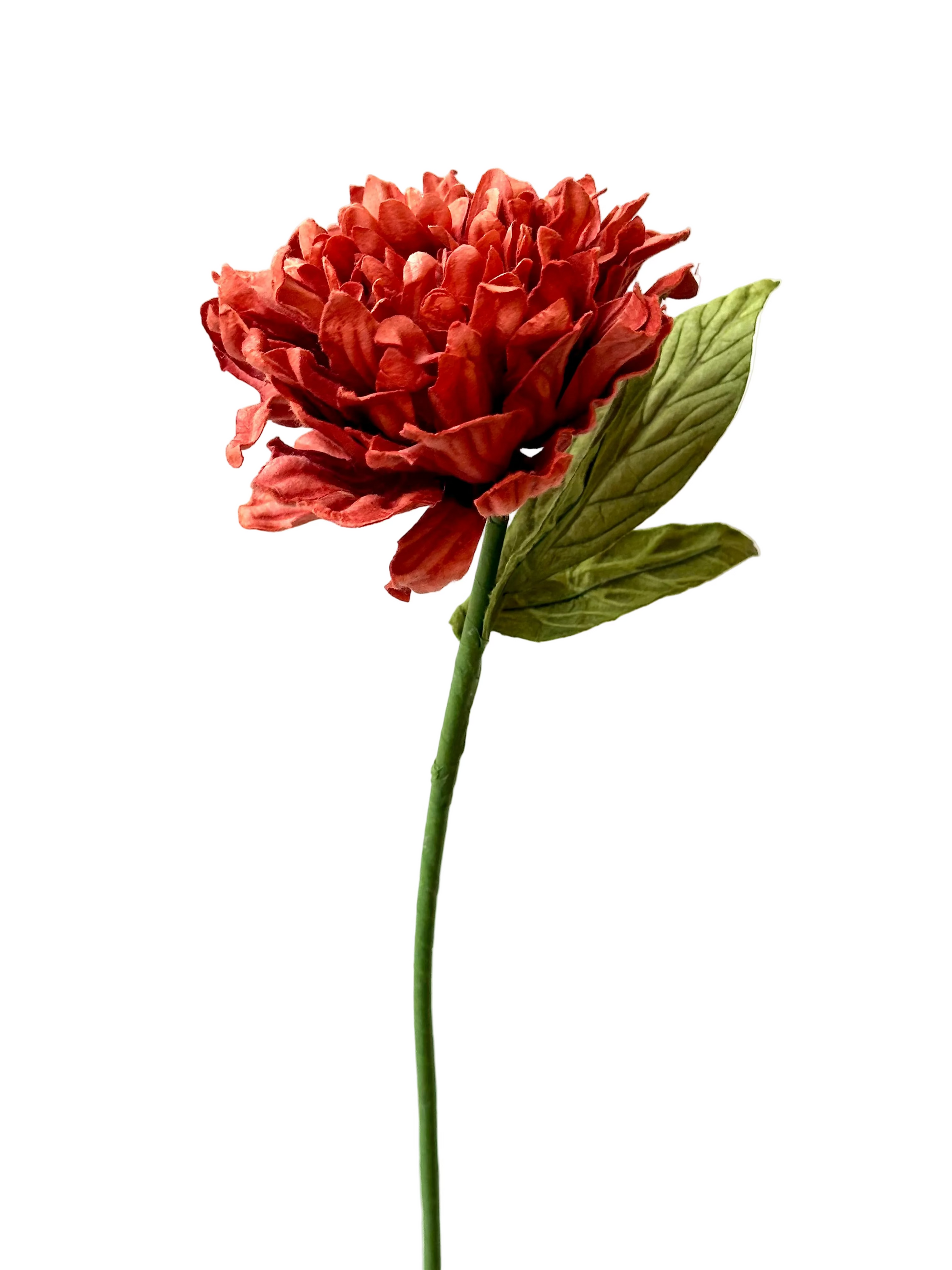 Dahlia Terracotta – FLOWRETTE | George Genève