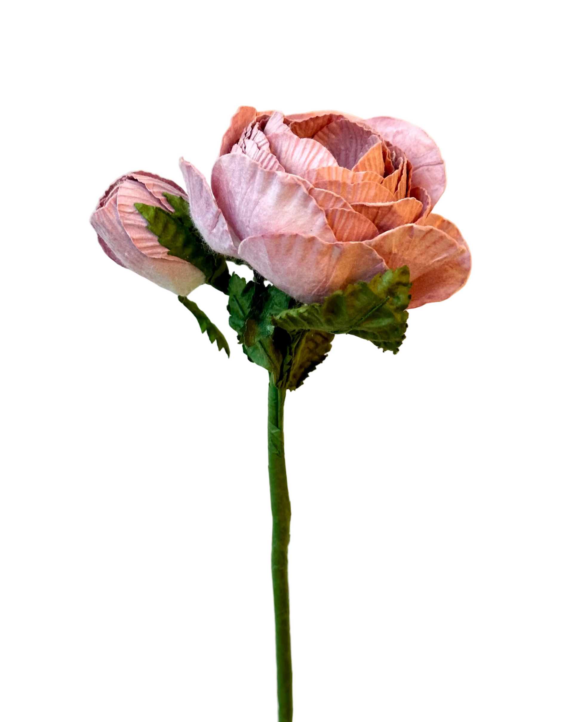 Petite Rose Queen Vieux Rose – FLOWRETTE | George Genève
