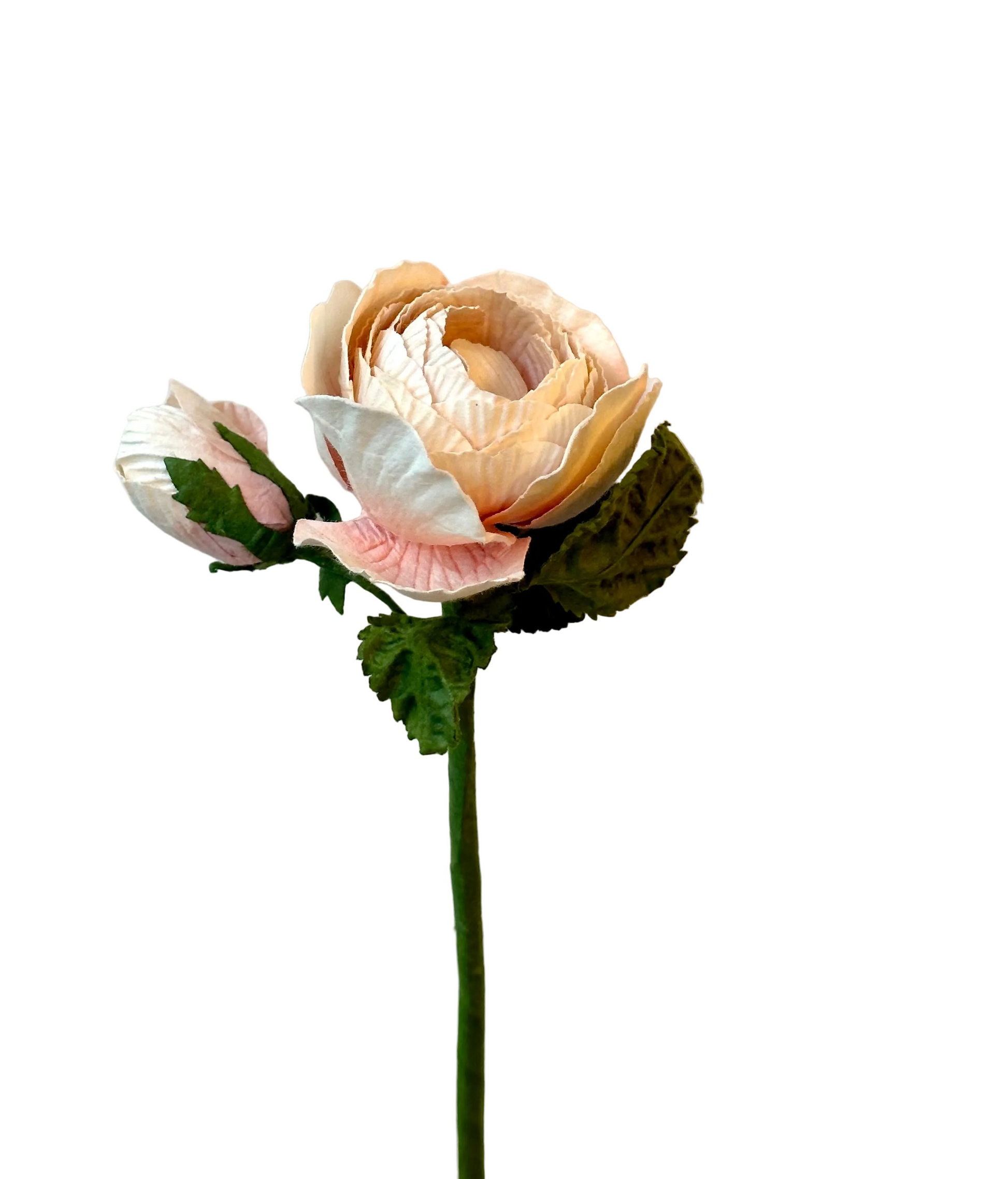 Petite Rose Queen Pêche Clair – FLOWRETTE | George Genève