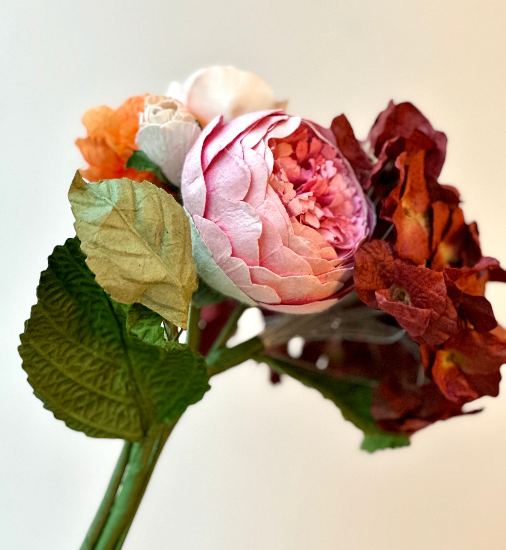 Bouton de Pivoine Rose – vue 2 – FLOWRETTE | George Genève