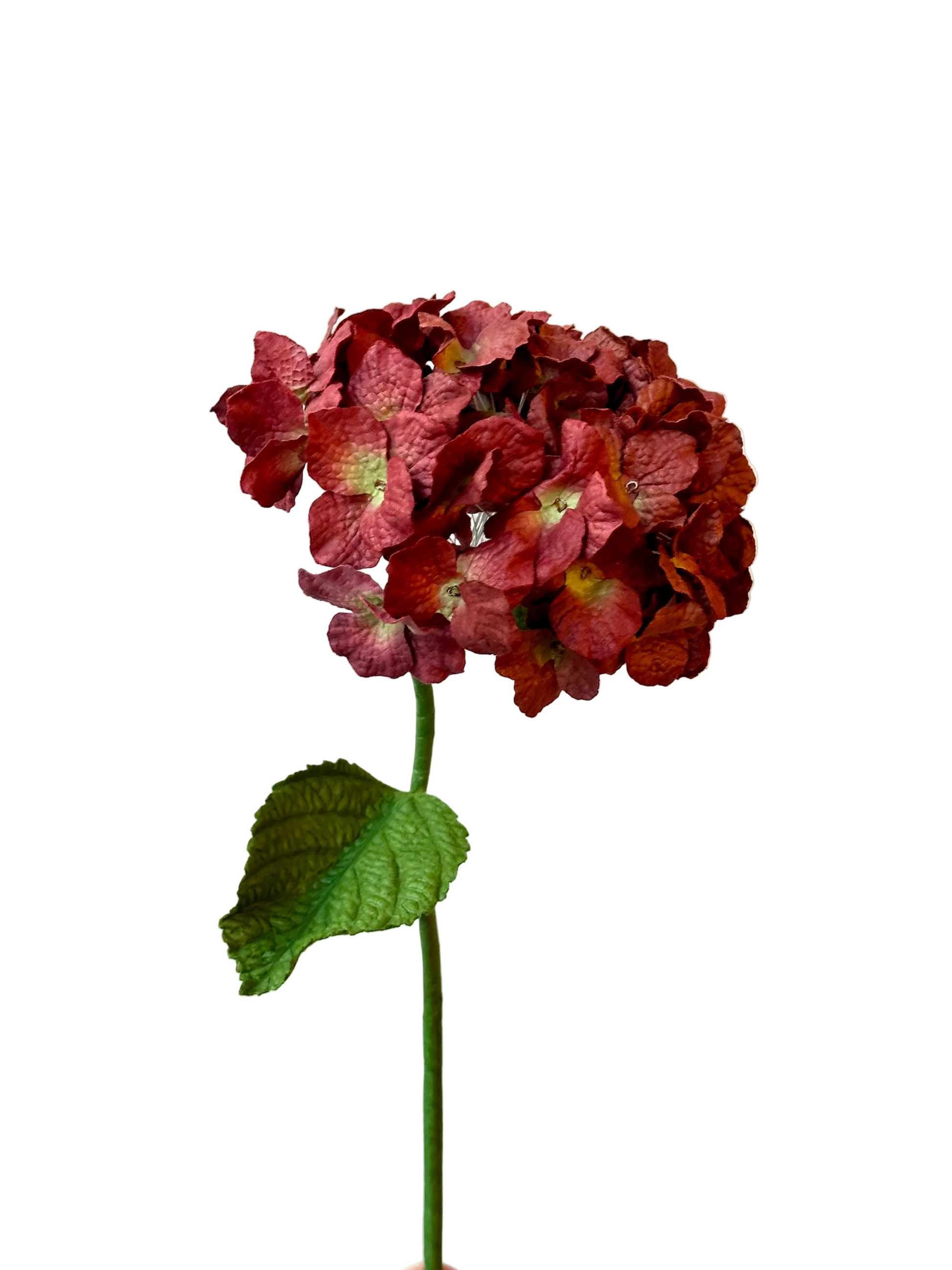 Grand Hortensia Prune – FLOWRETTE | George Genève
