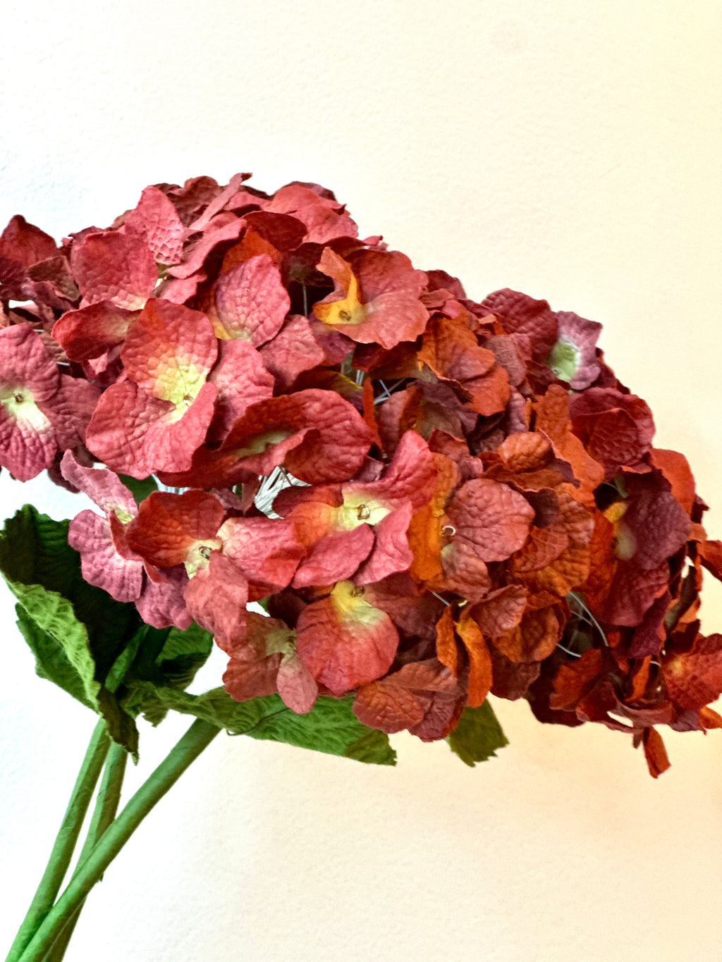 Grand Hortensia Prune – vue 2 – FLOWRETTE | George Genève