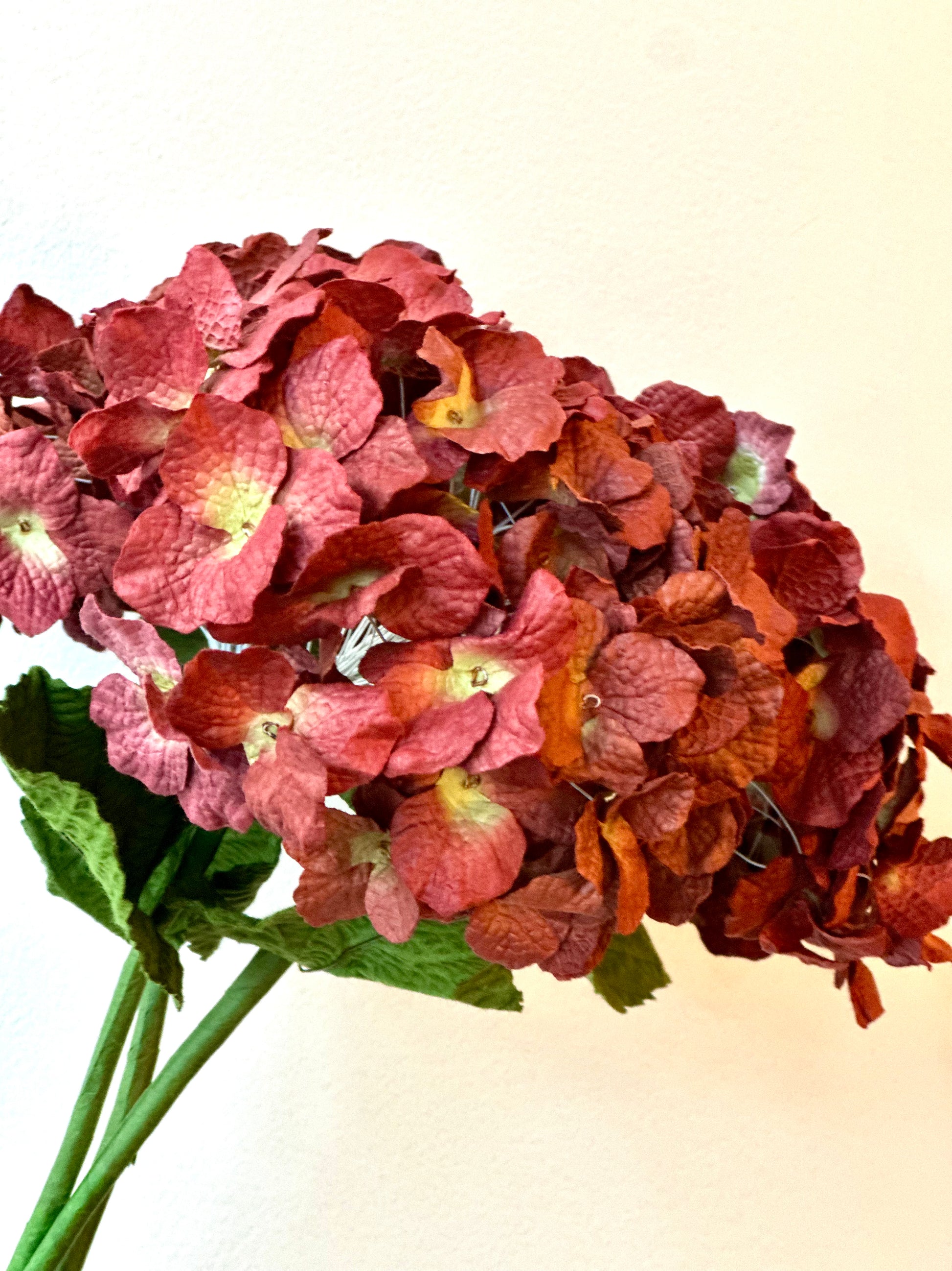 Grand Hortensia Prune – vue 2 – FLOWRETTE | George Genève