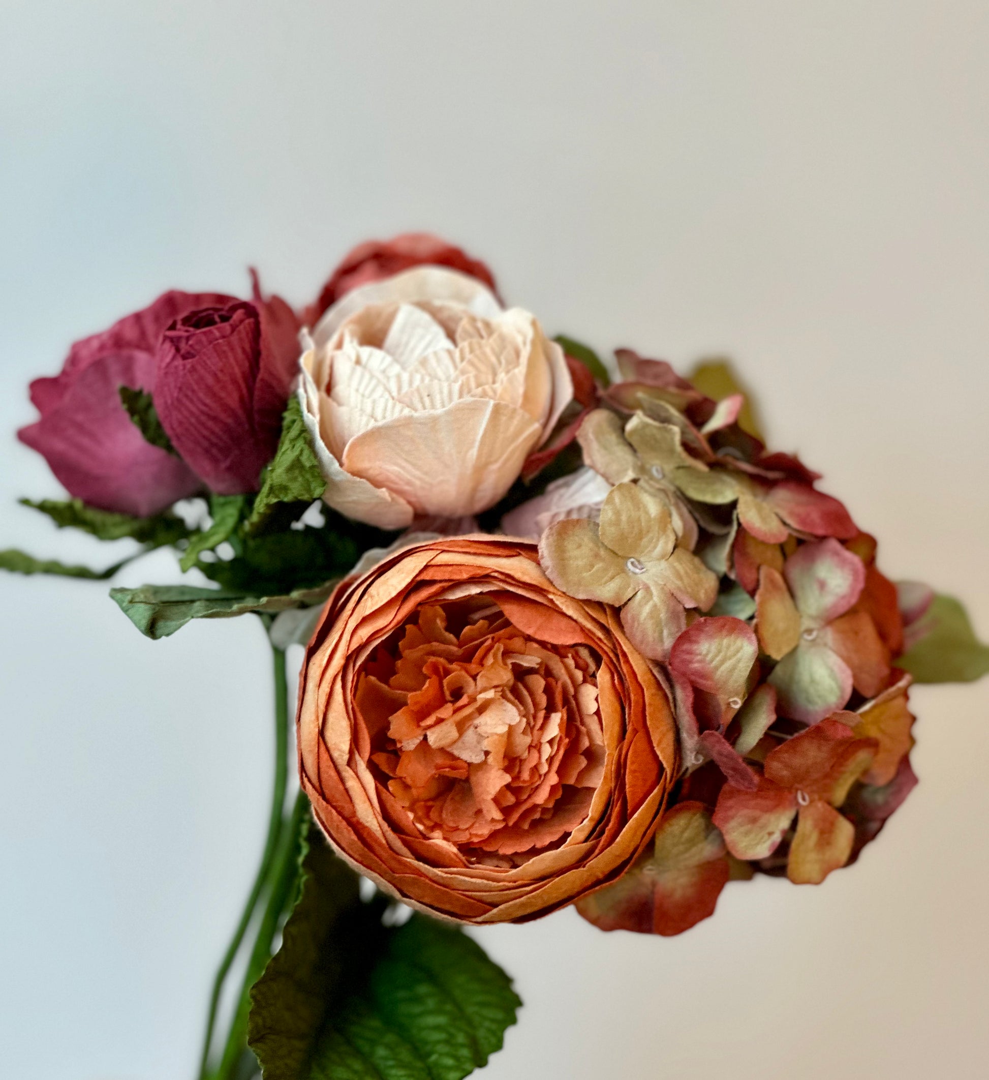 Hortensia Terracotta Marbré – vue 2 – FLOWRETTE | George Genève