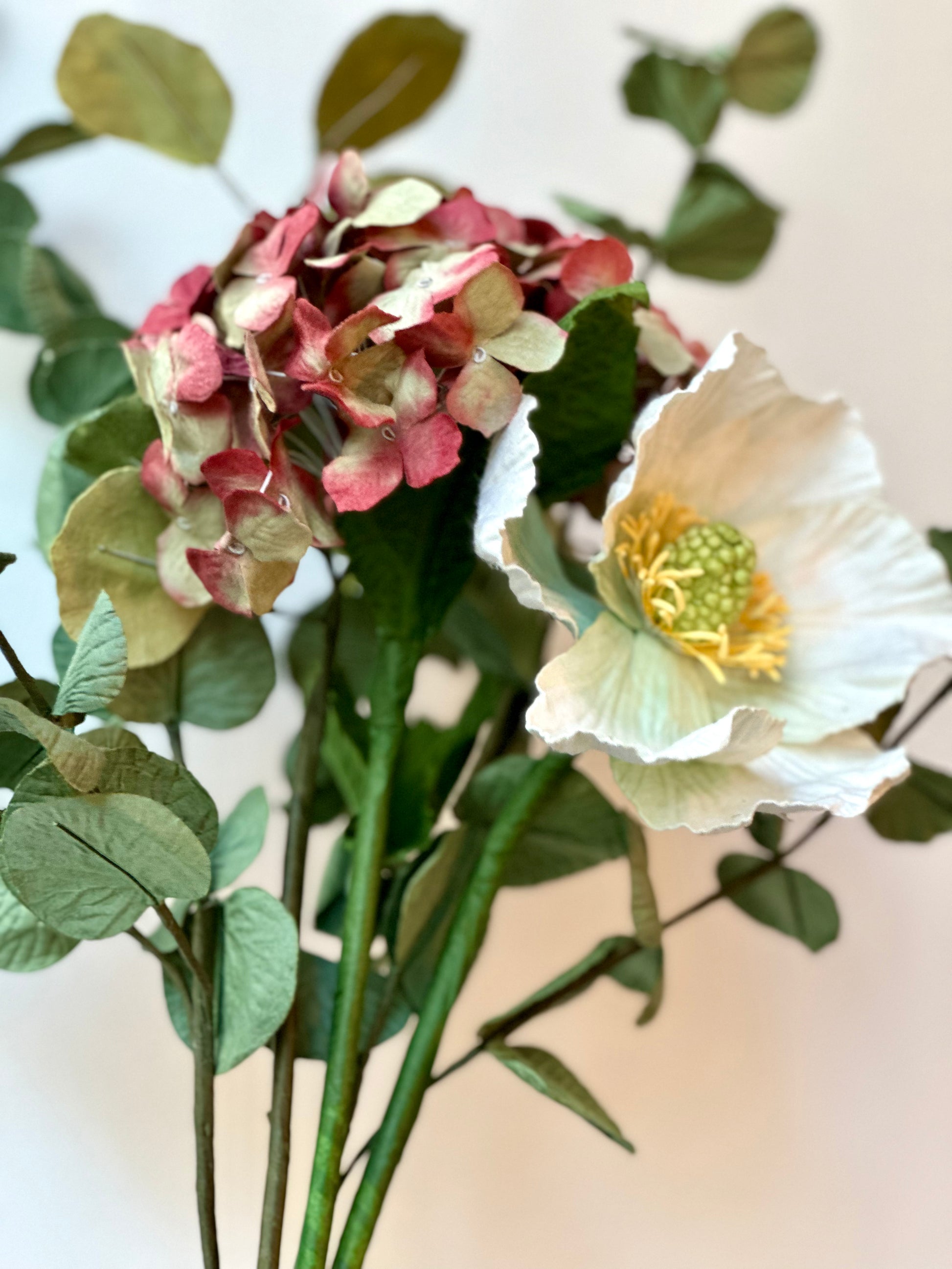 Pavot Blanc – vue 2 – FLOWRETTE | George Genève