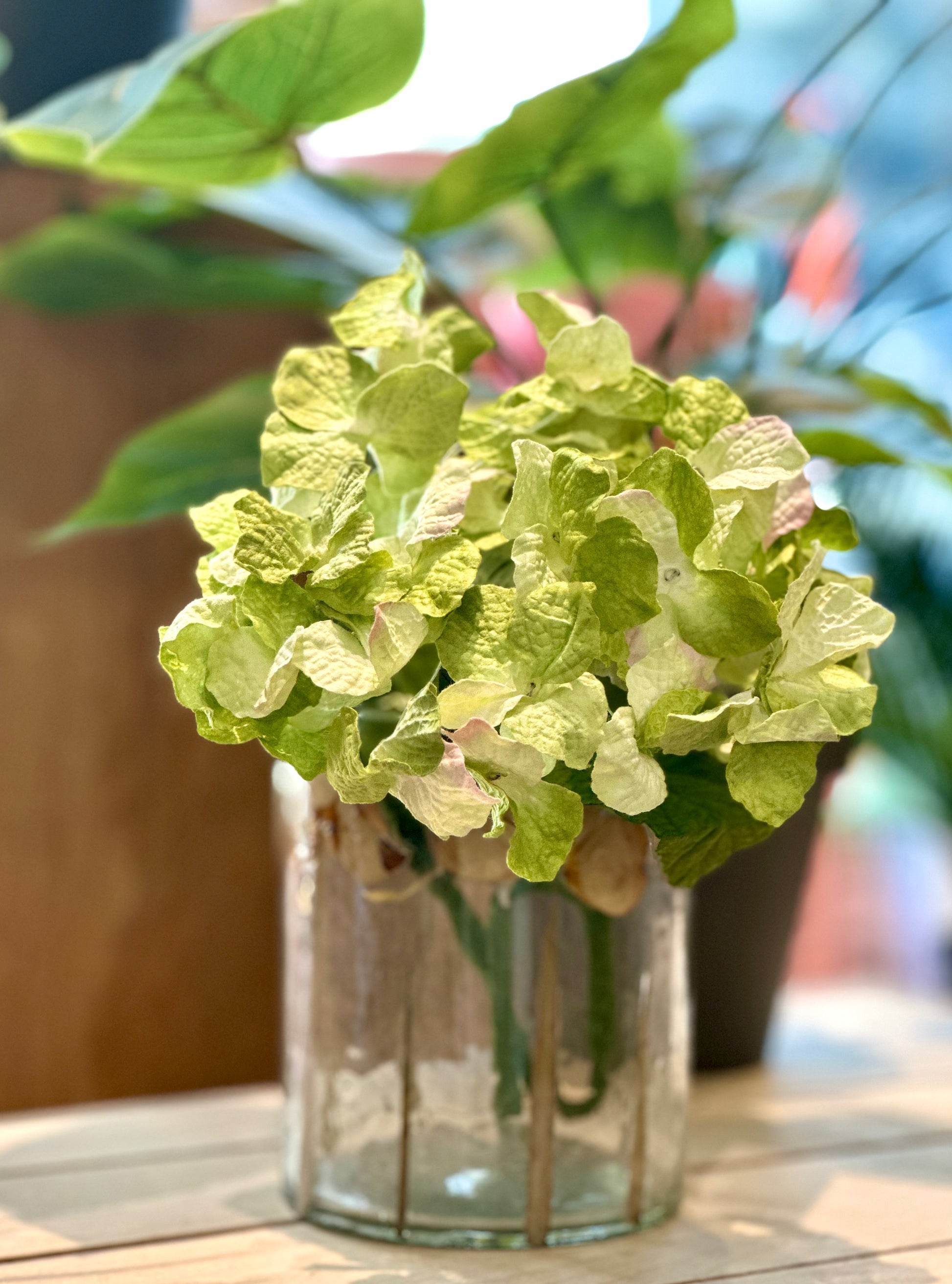 Grand Hortensia Vert clair – vue 2 – FLOWRETTE | George Genève
