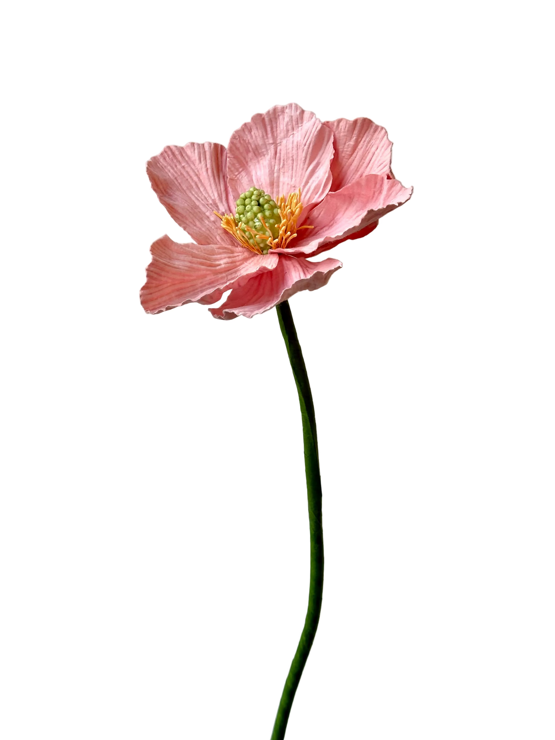 Pavot Rose – FLOWRETTE | George Genève
