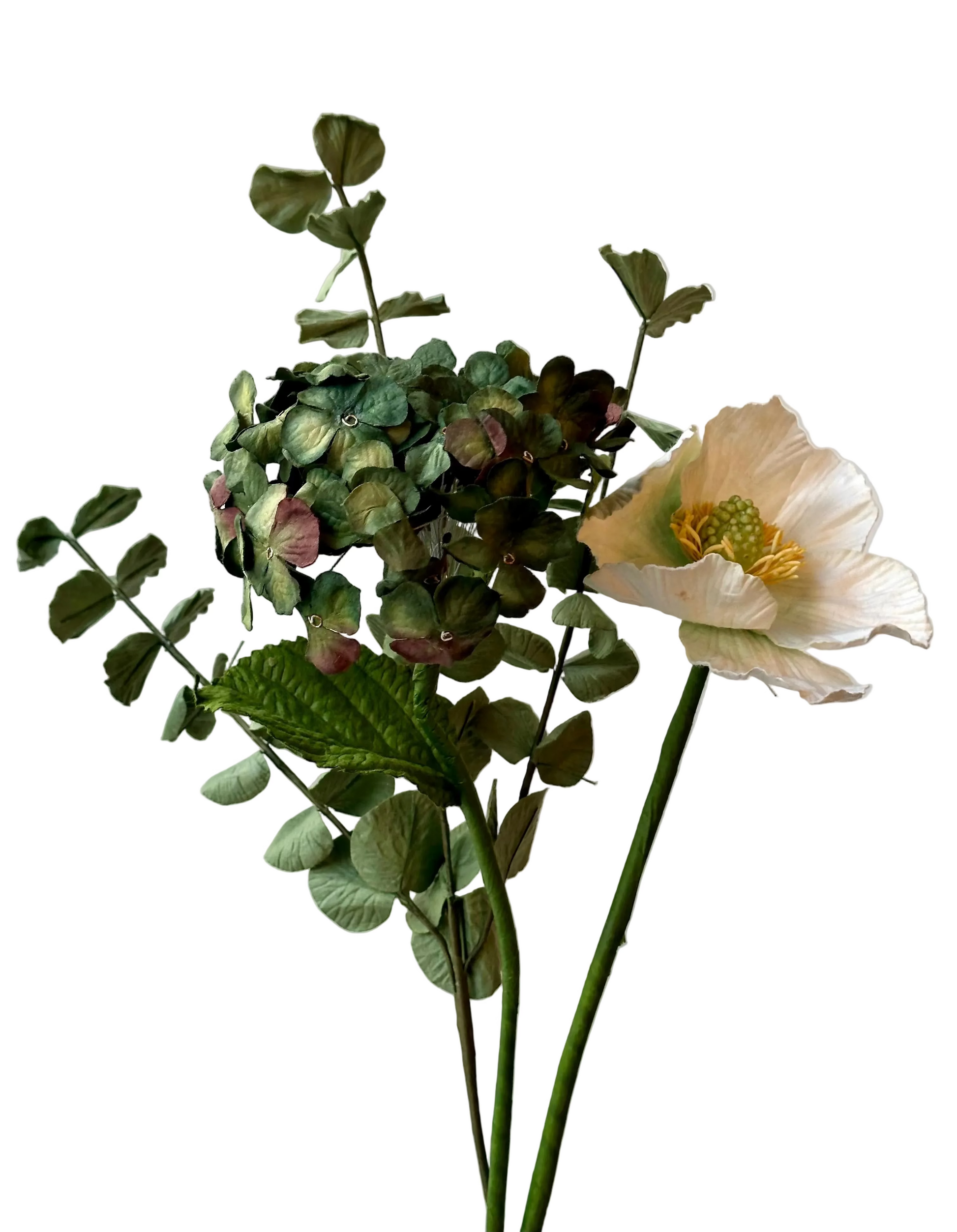 Hortensia Vert – vue 2 – FLOWRETTE | George Genève