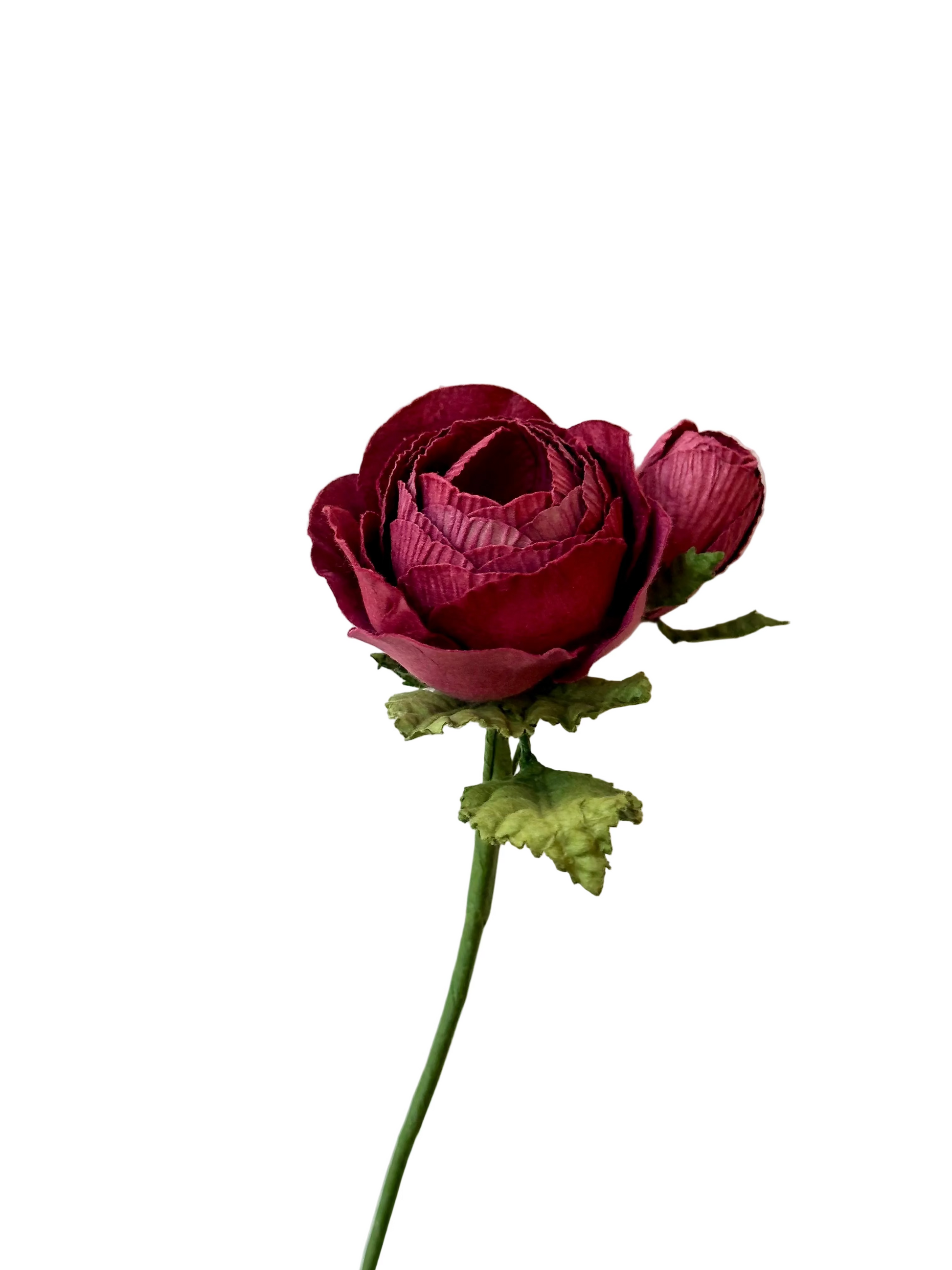 Petite Rose Queen Bordeaux – FLOWRETTE | George Genève