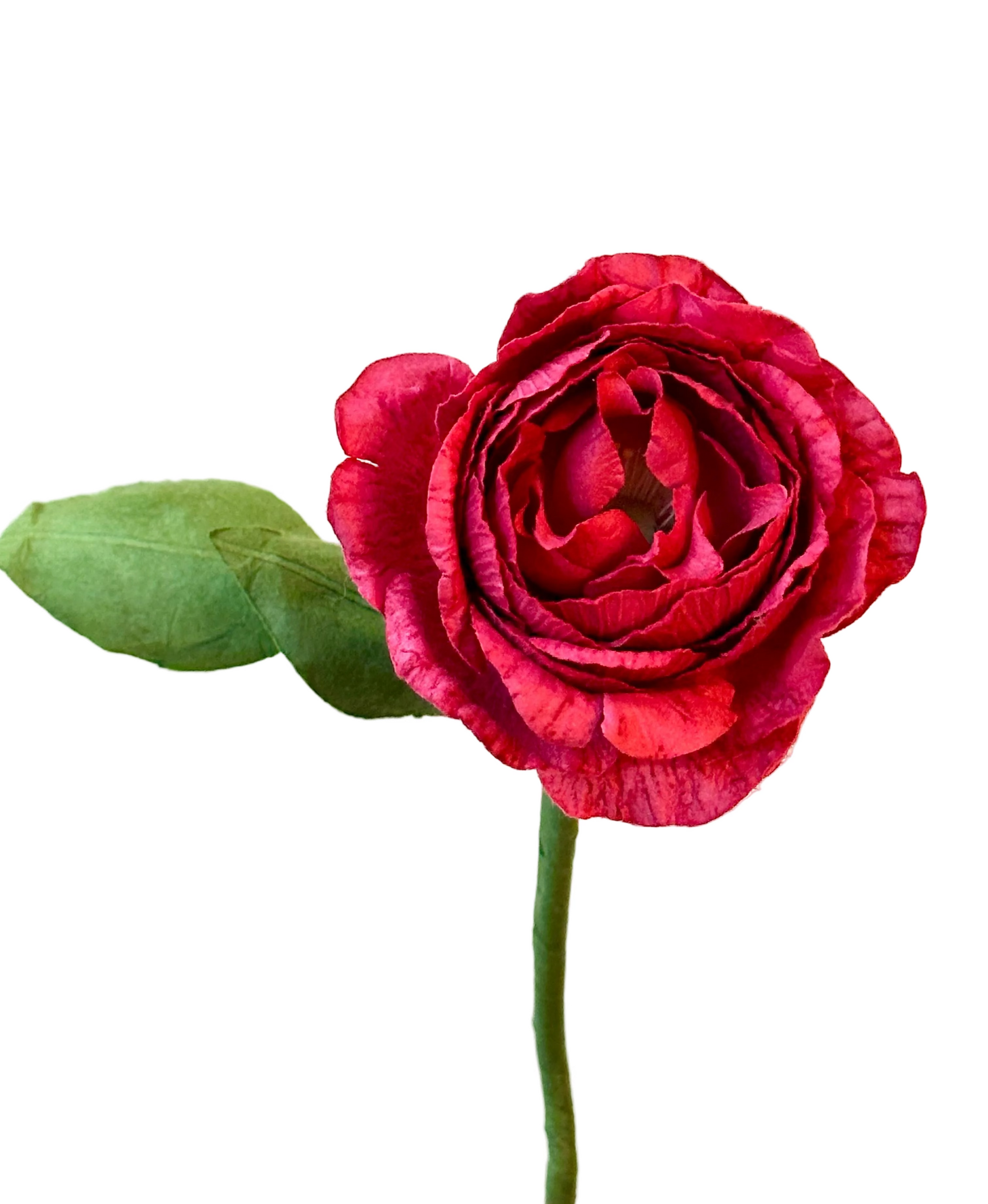 Grand Camélia Fuchsia – vue 2 – FLOWRETTE | George Genève