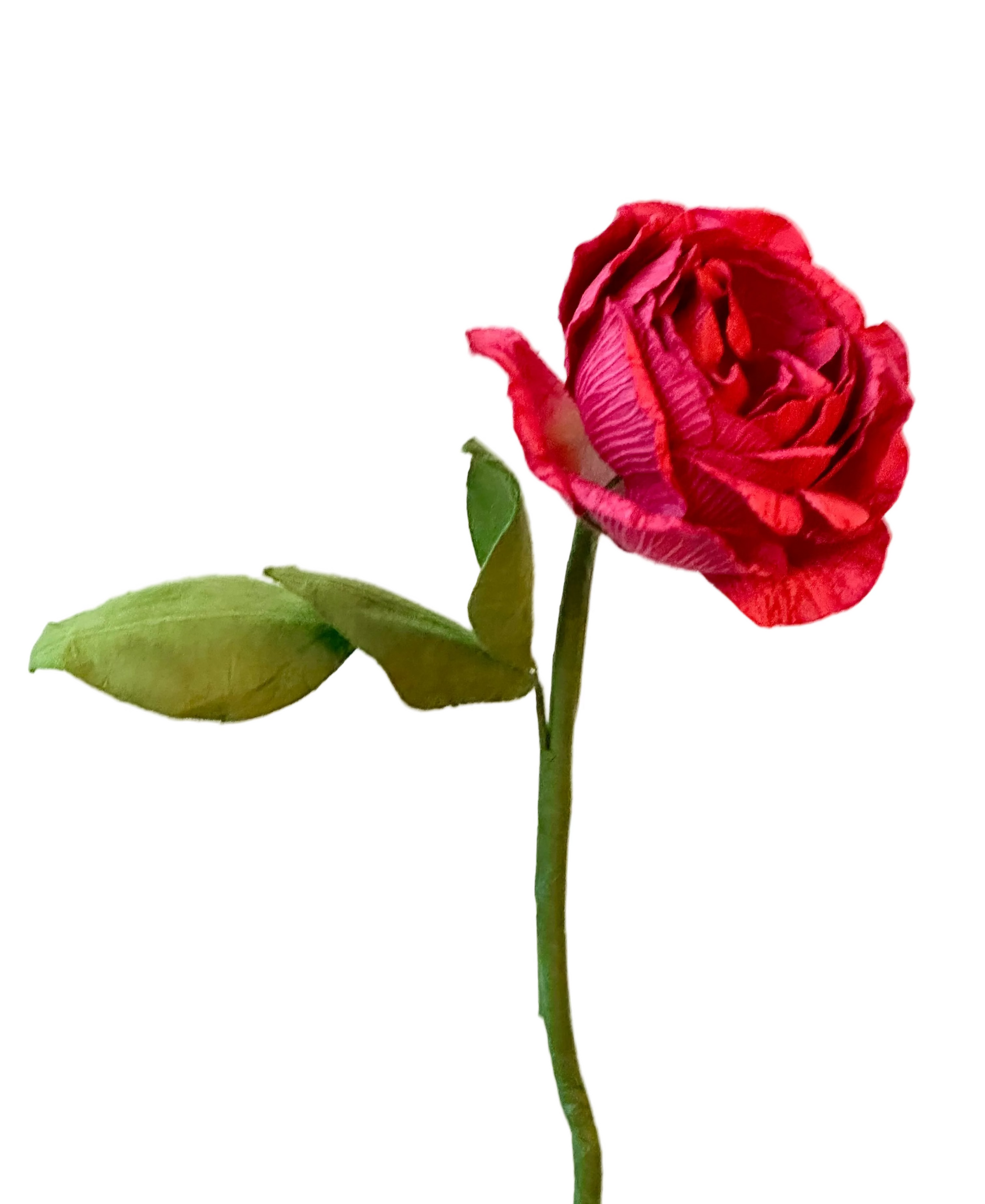 Grand Camélia Fuchsia – FLOWRETTE | George Genève