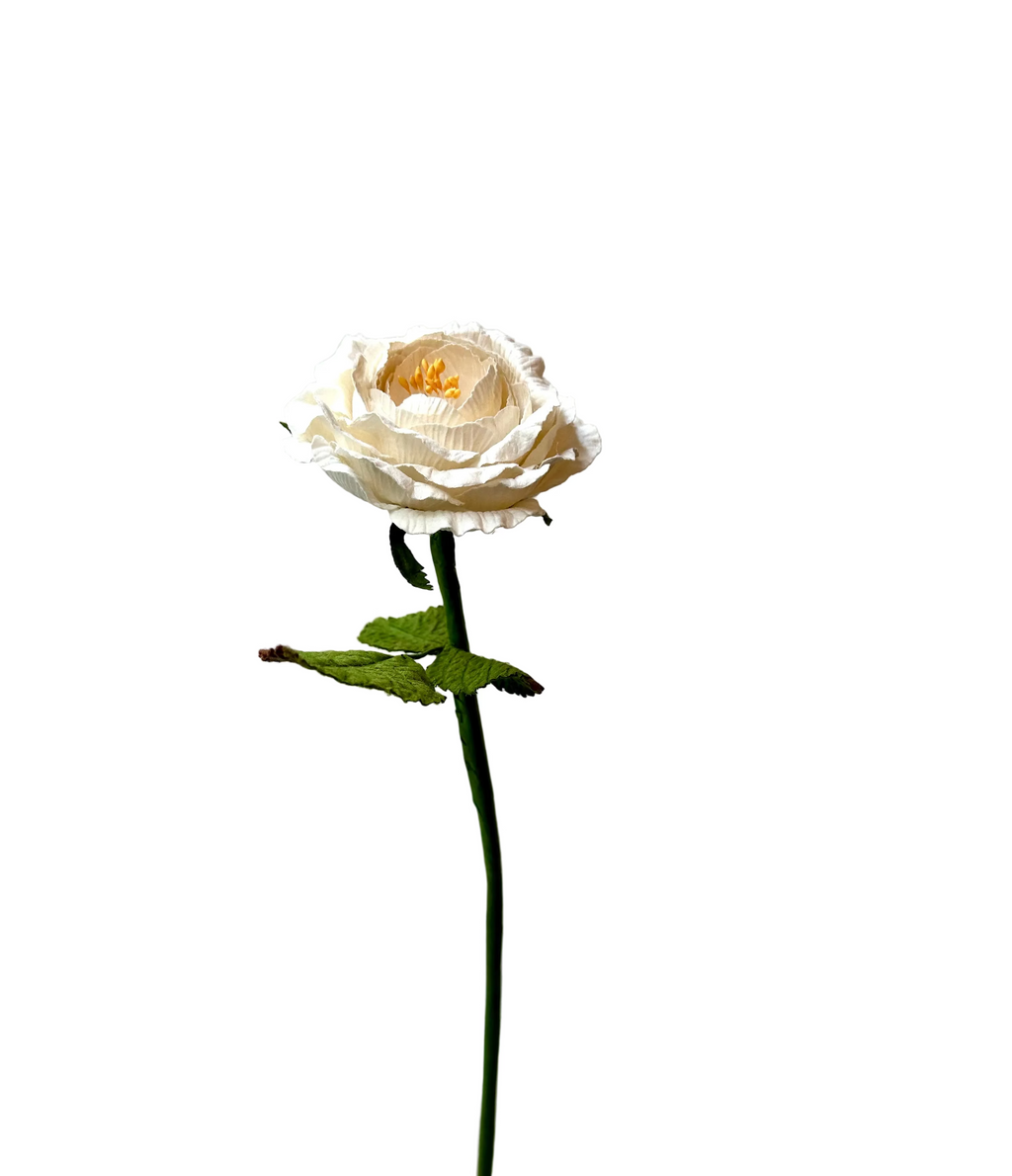 Grande Rose Anglaise Blanche – FLOWRETTE | George Genève
