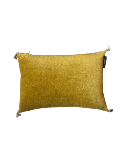 GOYAAL - Mini Coussin Curry