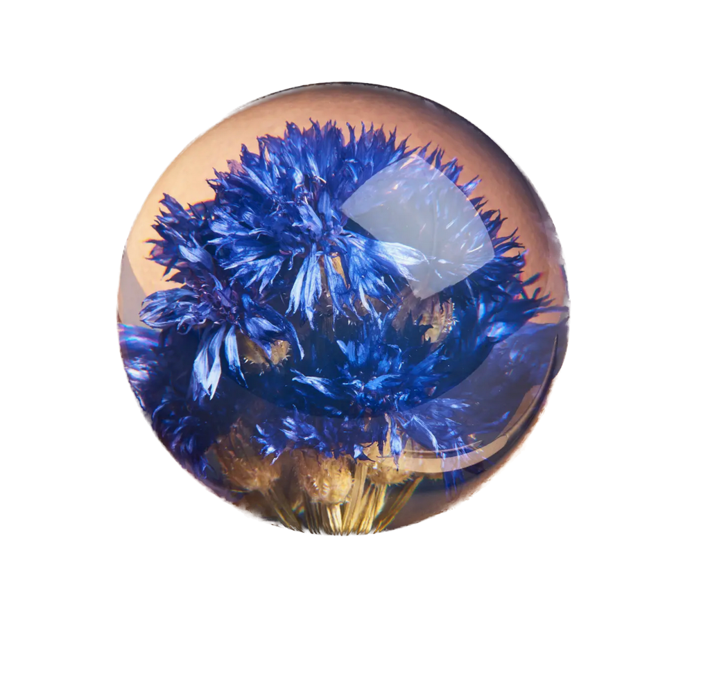 HAFOD GRANGE - Presse-papier Cornflower