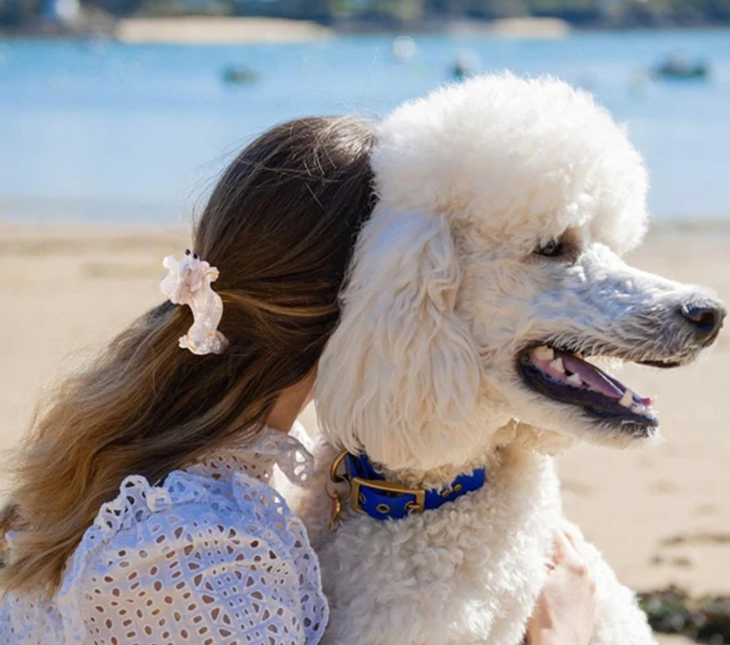 COUCOU SUZETTE - Pince à cheveux - Caniche