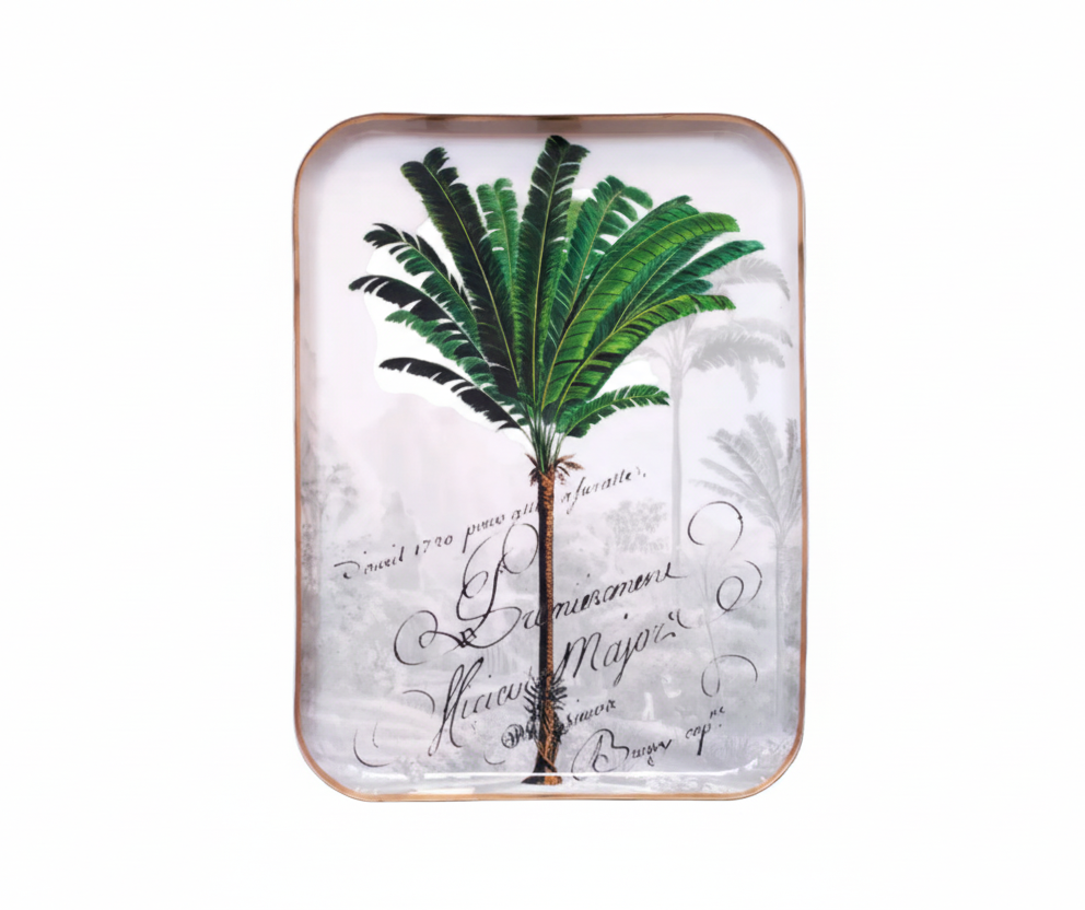 Plateau Manicaria (2 formats) – PARADISIO IMAGINARIUM | George Genève