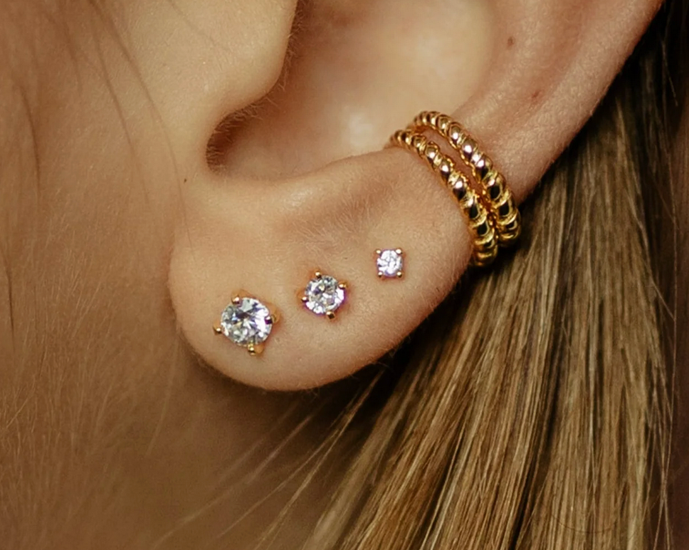 POHESIA - Puces d'oreille Ushuaia