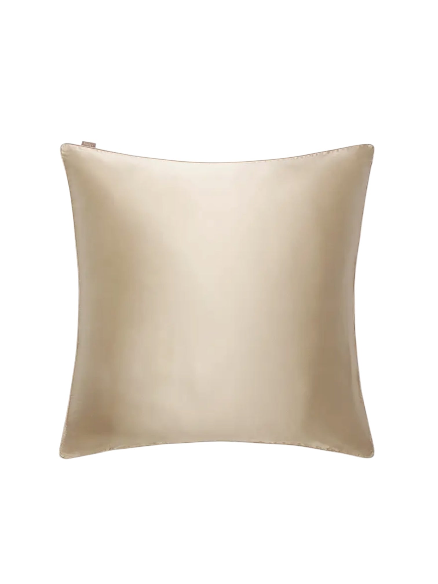 EMILY'S PILLOW - Taie d'oreiller en soie 65x65 (plusieurs coloris)
