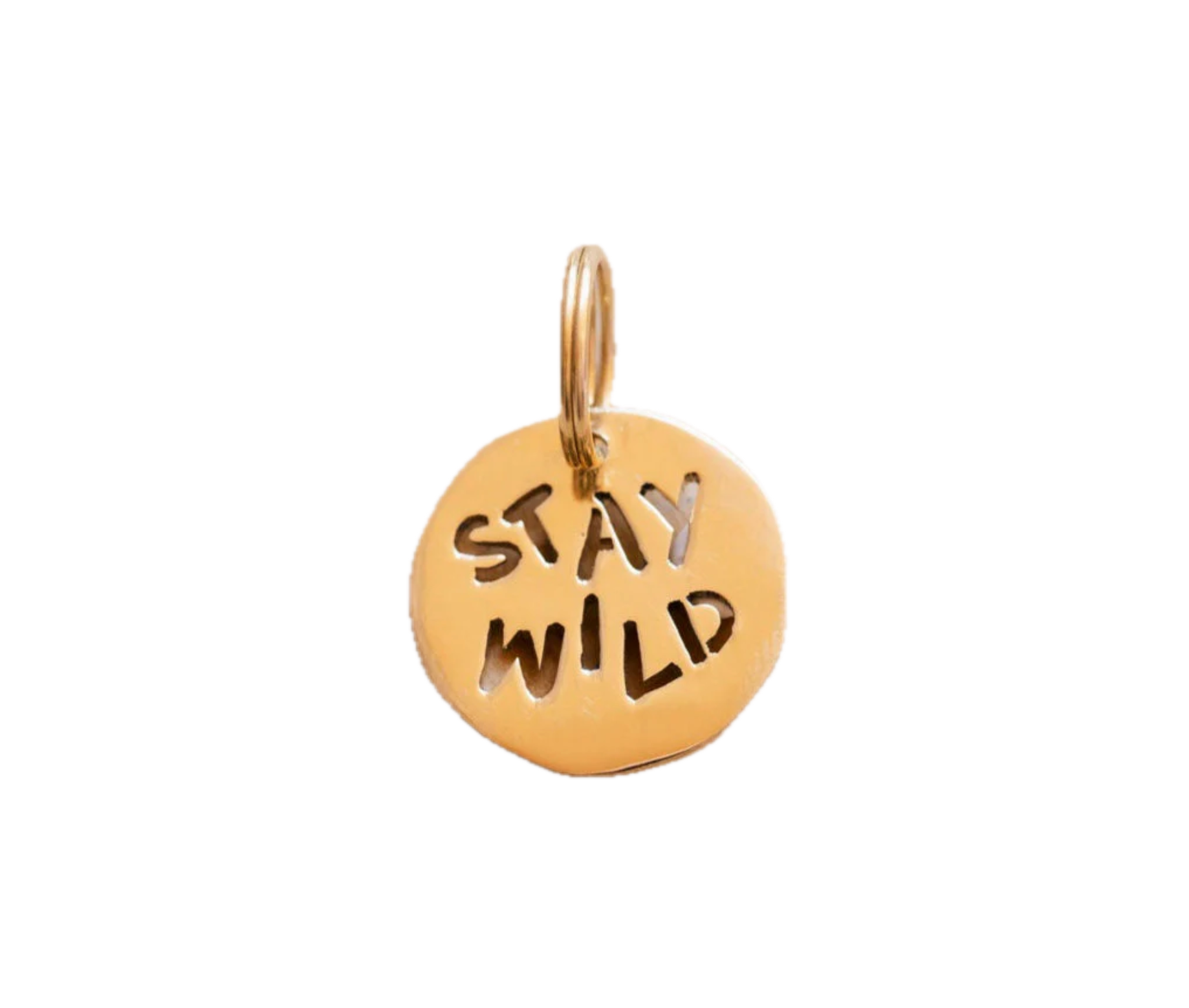 YOOMEE - Porte-clés médaille Stay Wild