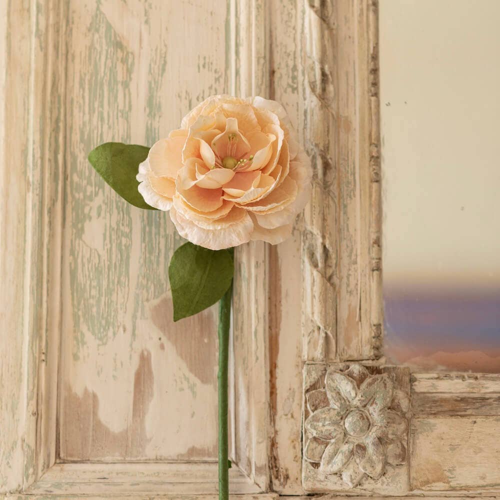 FLOWRETTE - Camélia Pêche