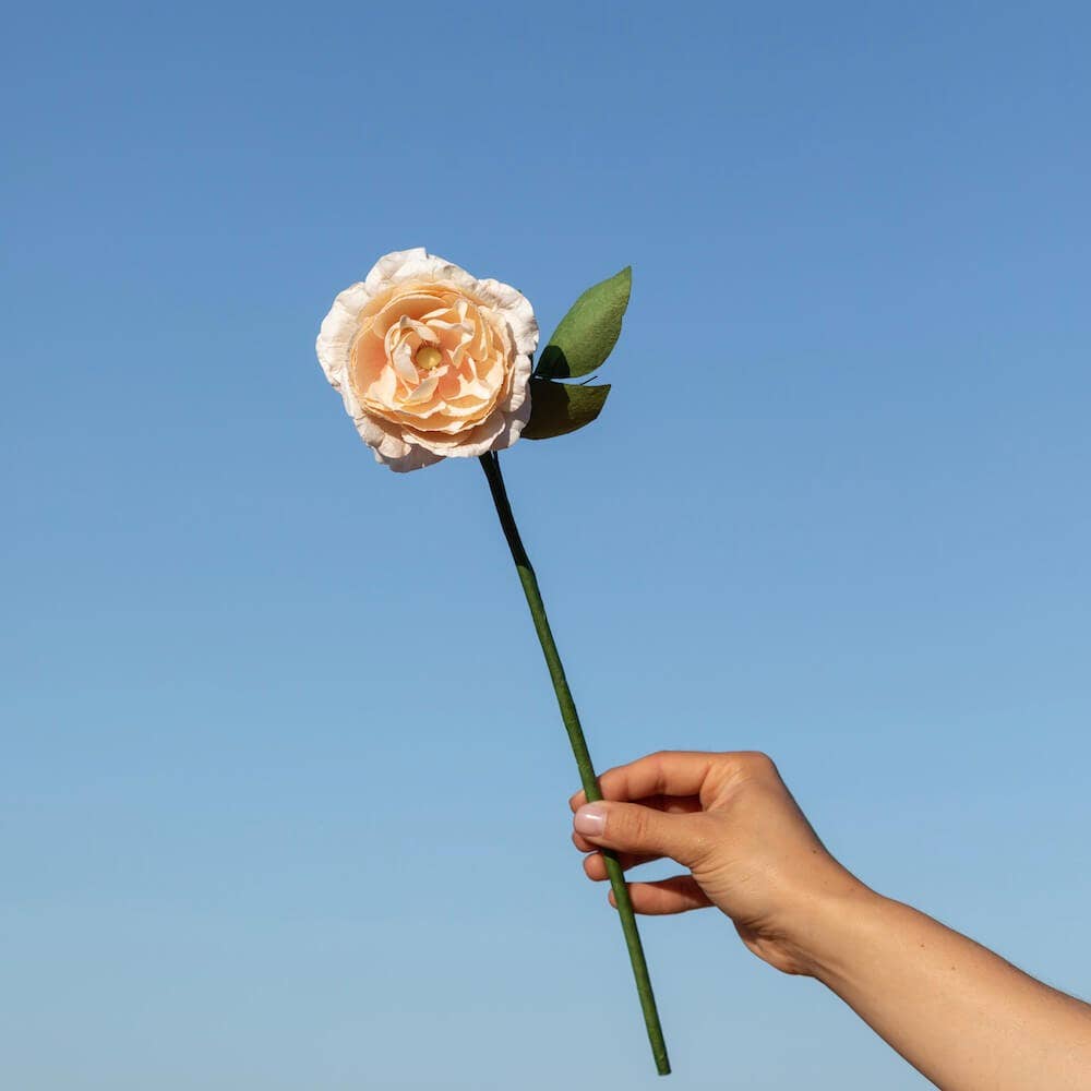 FLOWRETTE - Camélia Pêche